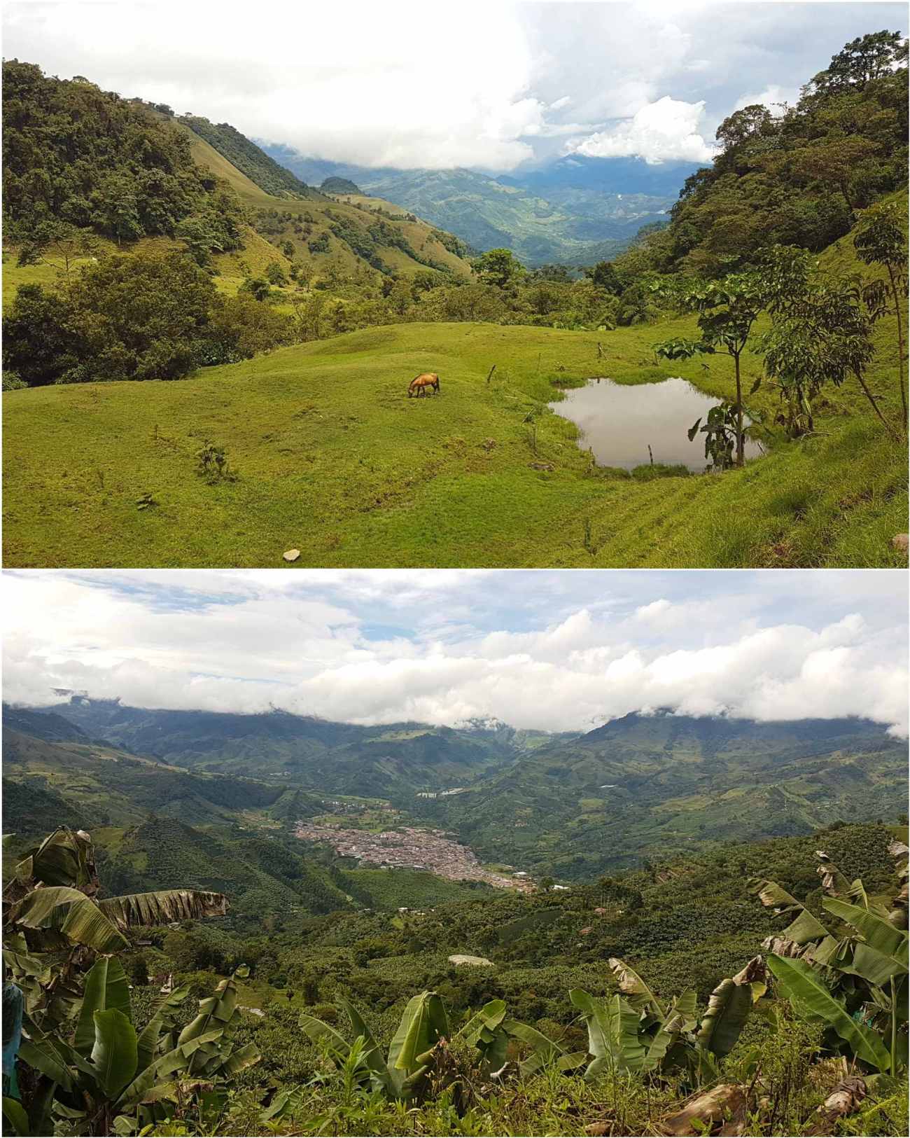 CollageMaker_20180618_201134610