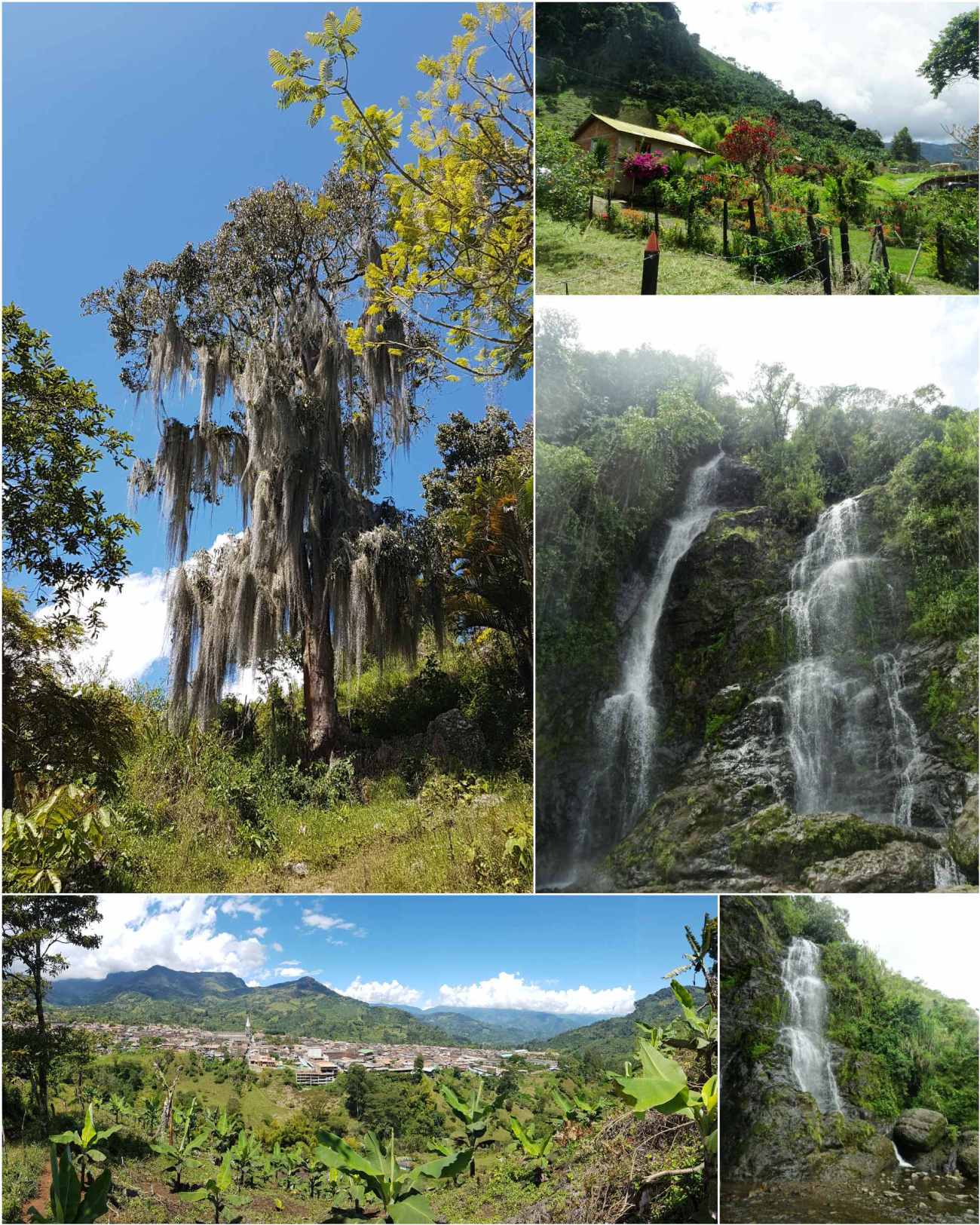 CollageMaker_20180618_202135479