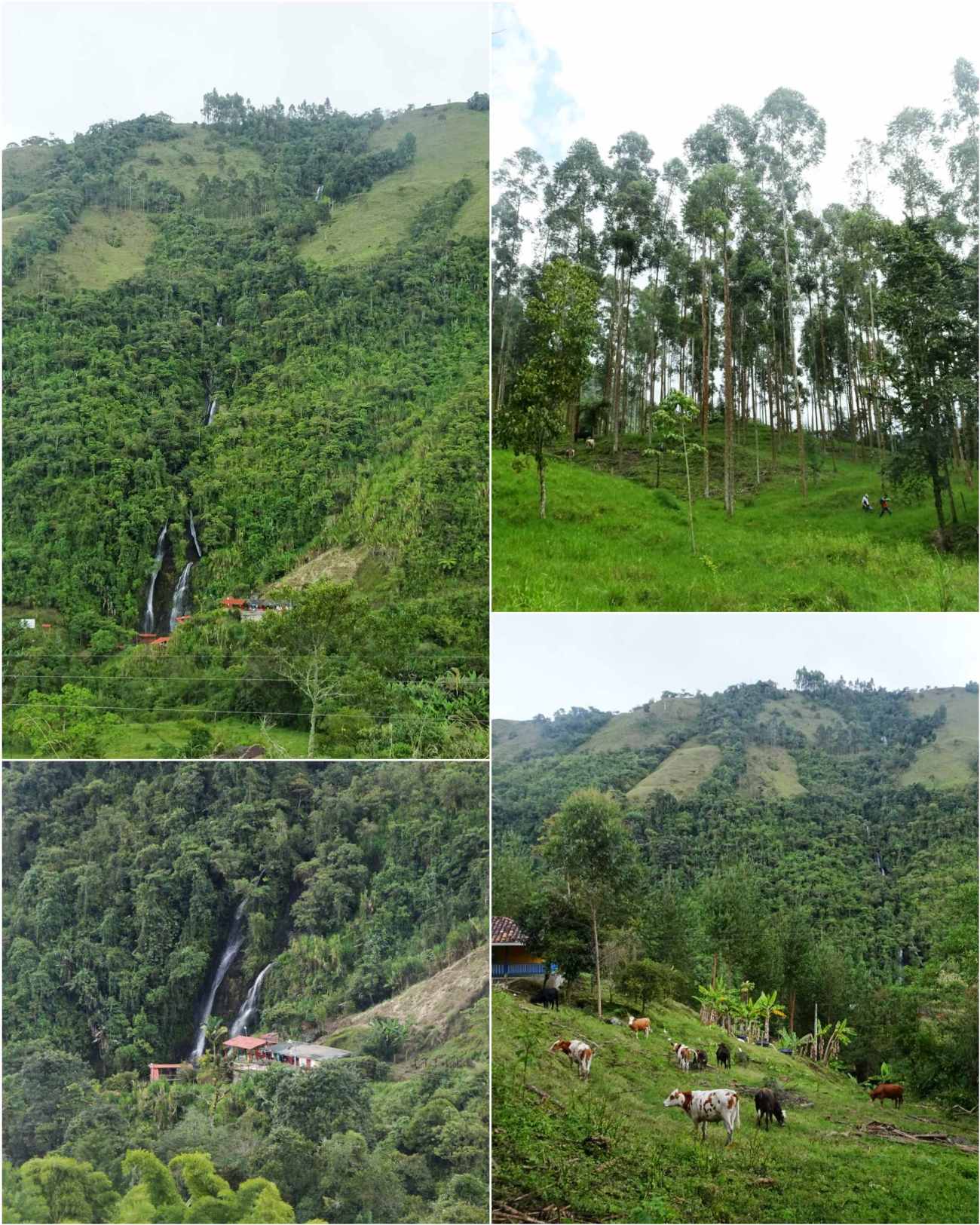 CollageMaker_20180618_213108047