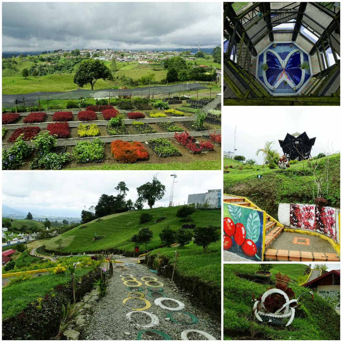 CollageMaker_20180623_222245764