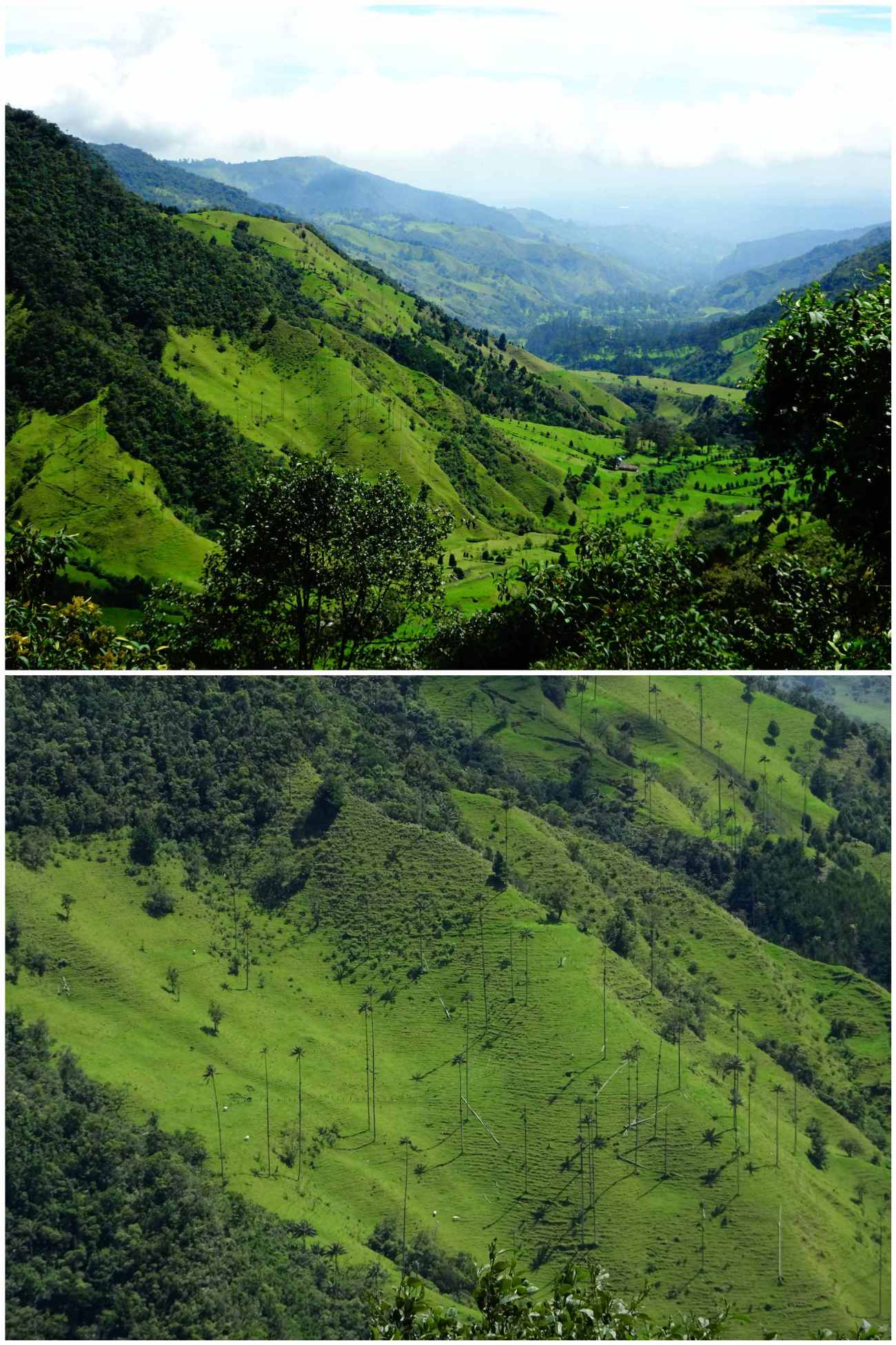 CollageMaker_20180701_154532502