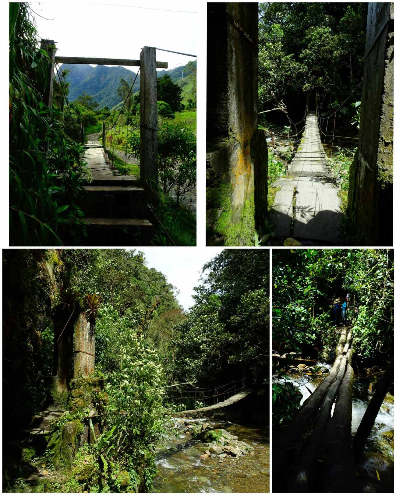 CollageMaker_20180701_184550372