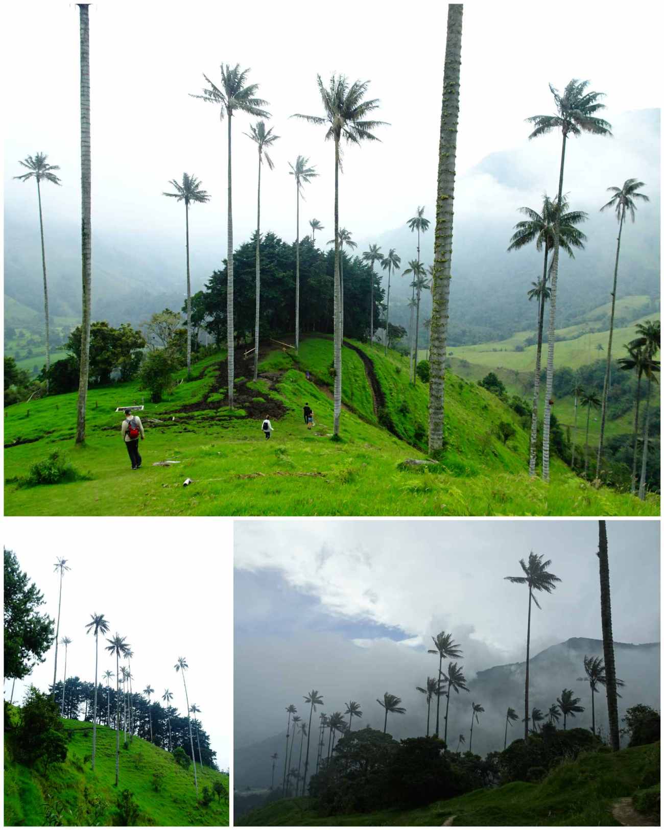 CollageMaker_20180701_185419241