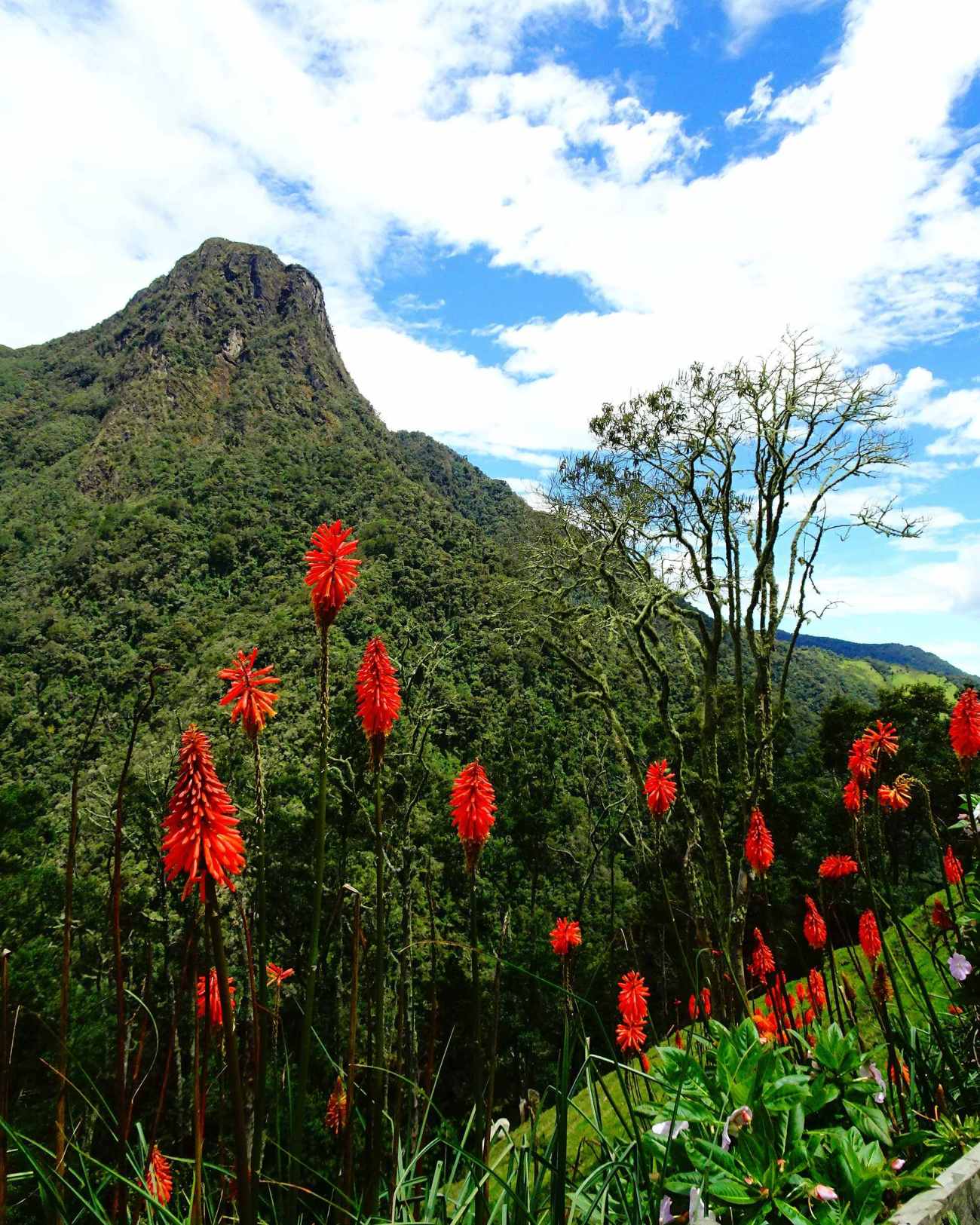 IMG_20180629_064338_553