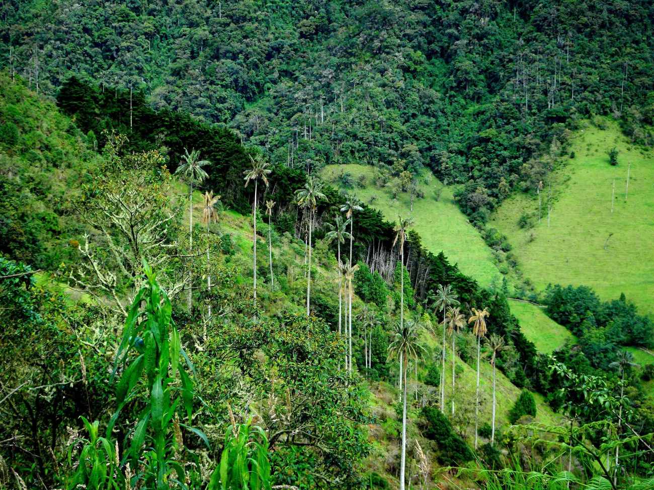 IMG_20180630_060705_820