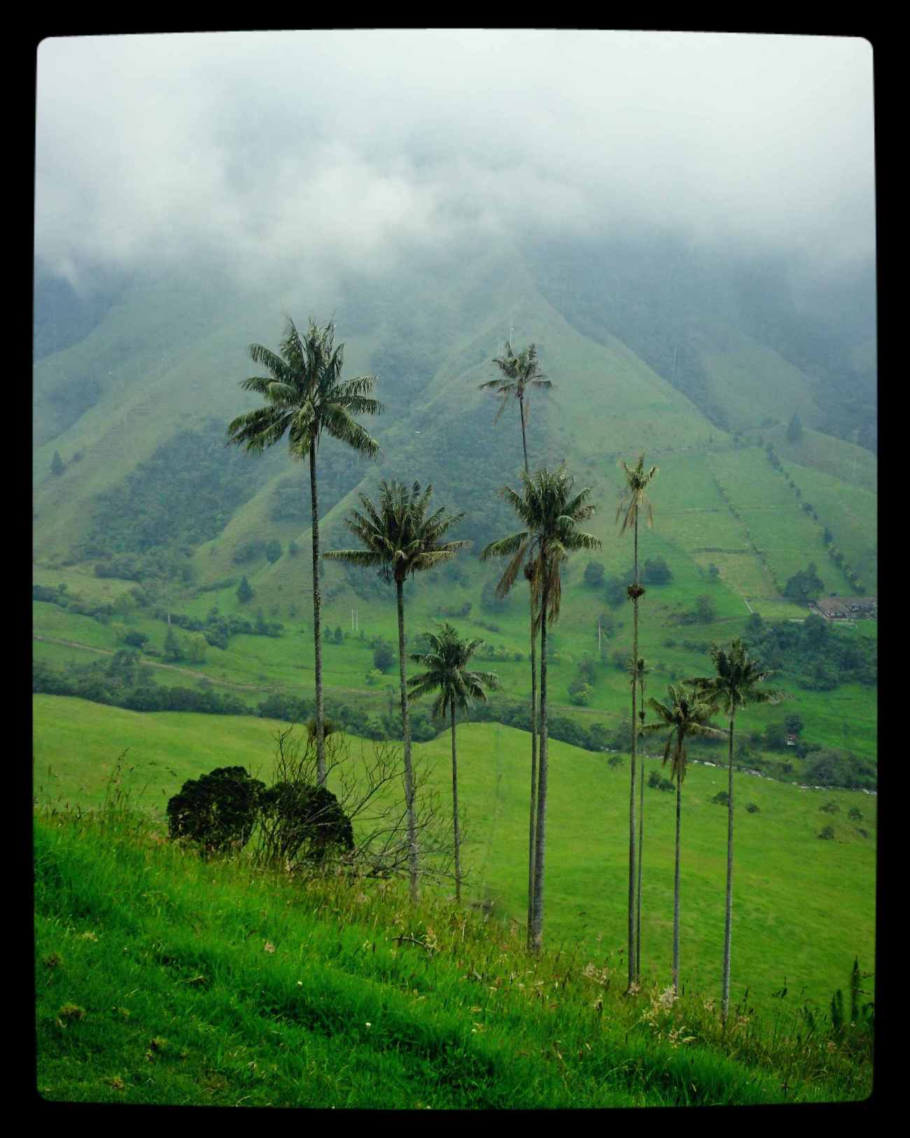 IMG_20180701_082144_409