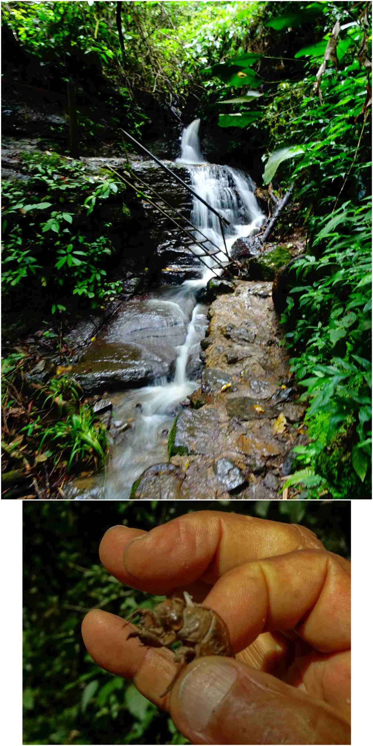 CollageMaker_20180827_173408760