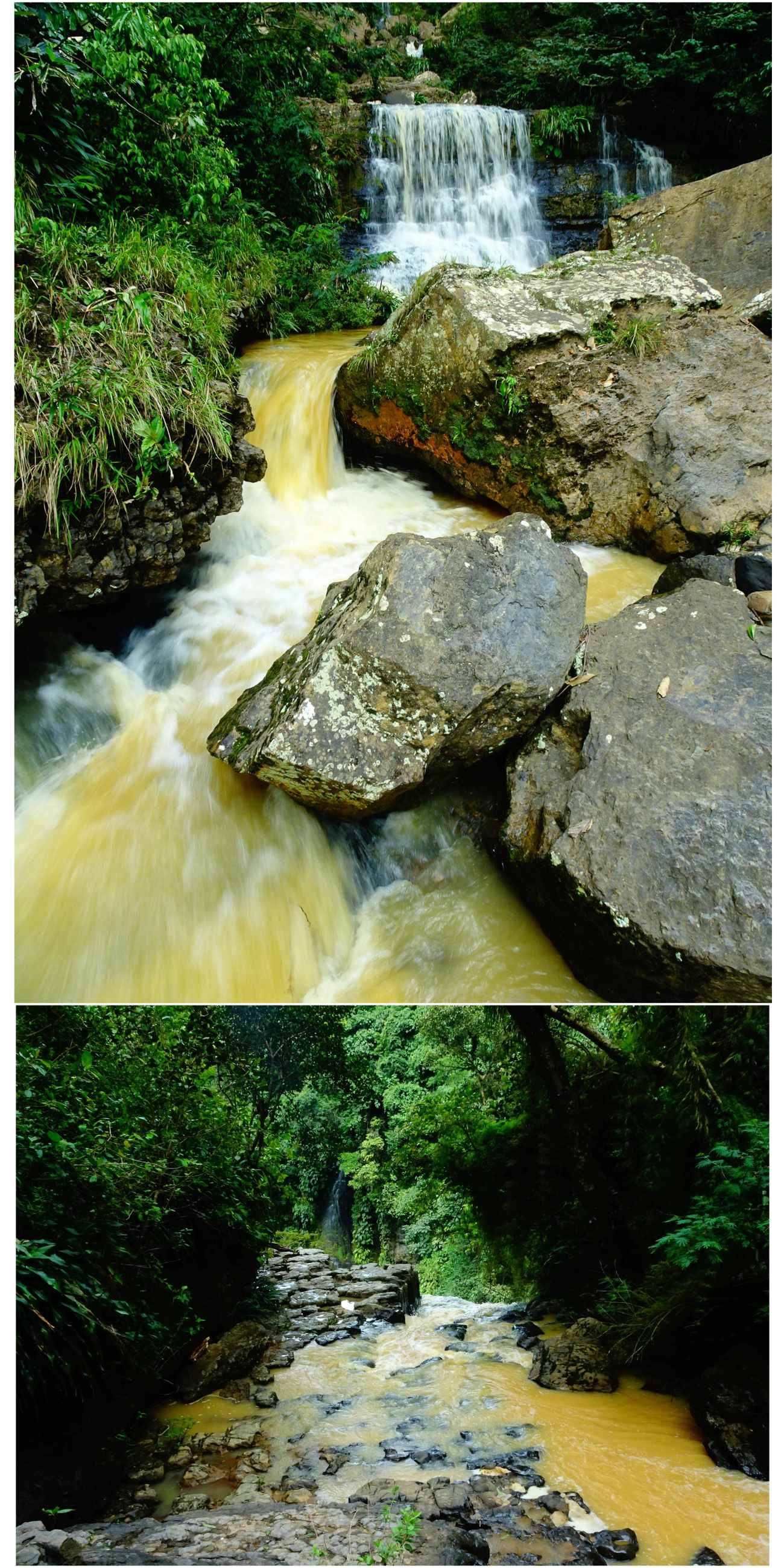 CollageMaker_20180827_175043311