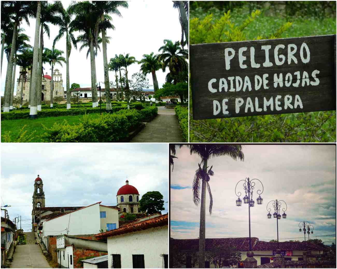 CollageMaker_20180901_055623690