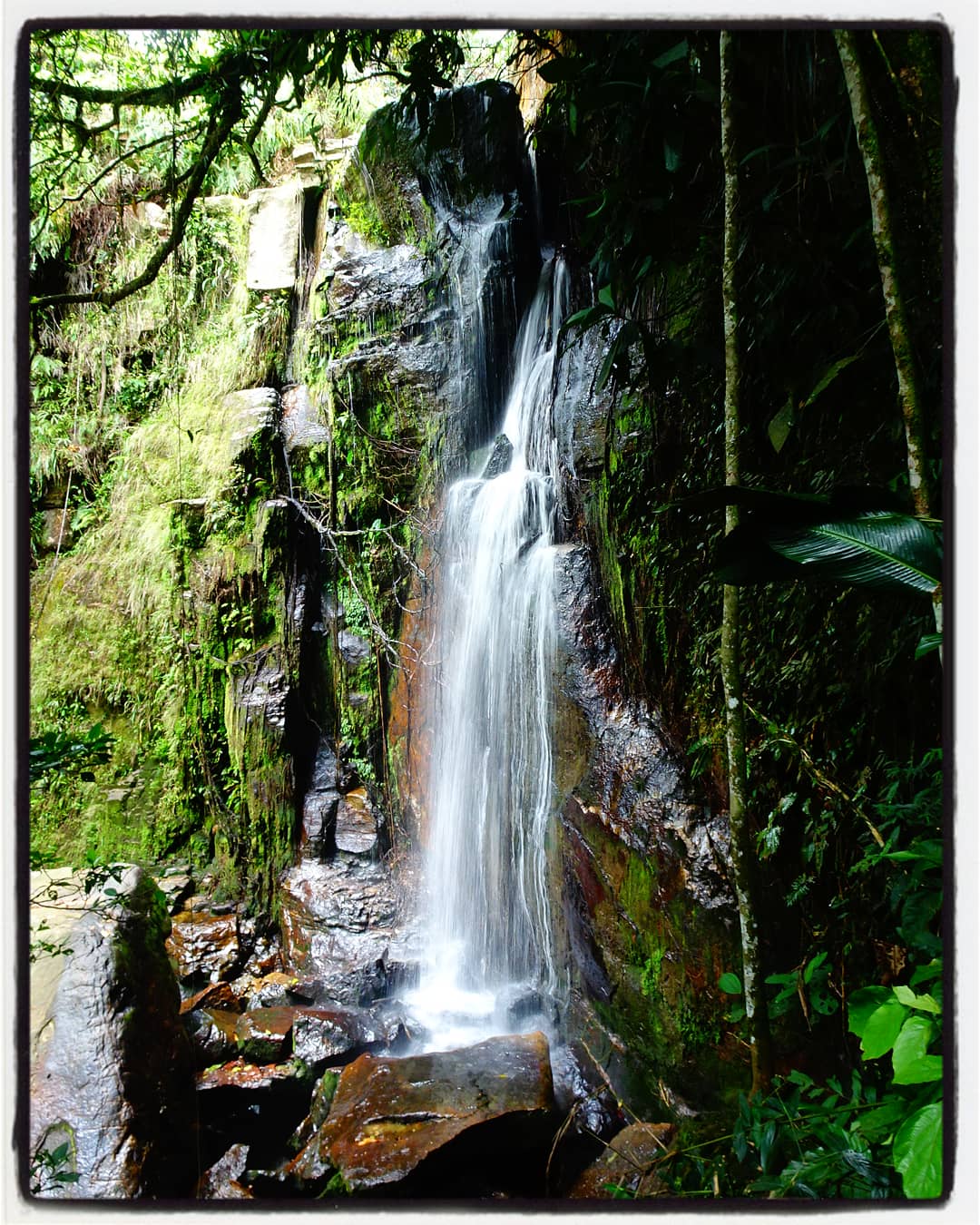 IMG_20180828_070234_376