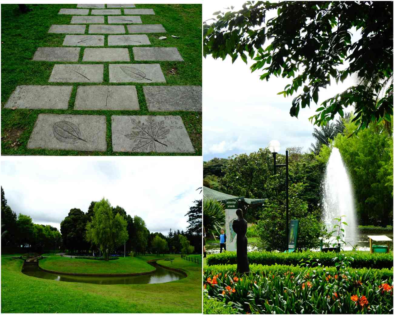Bogota_jardinbotanico1