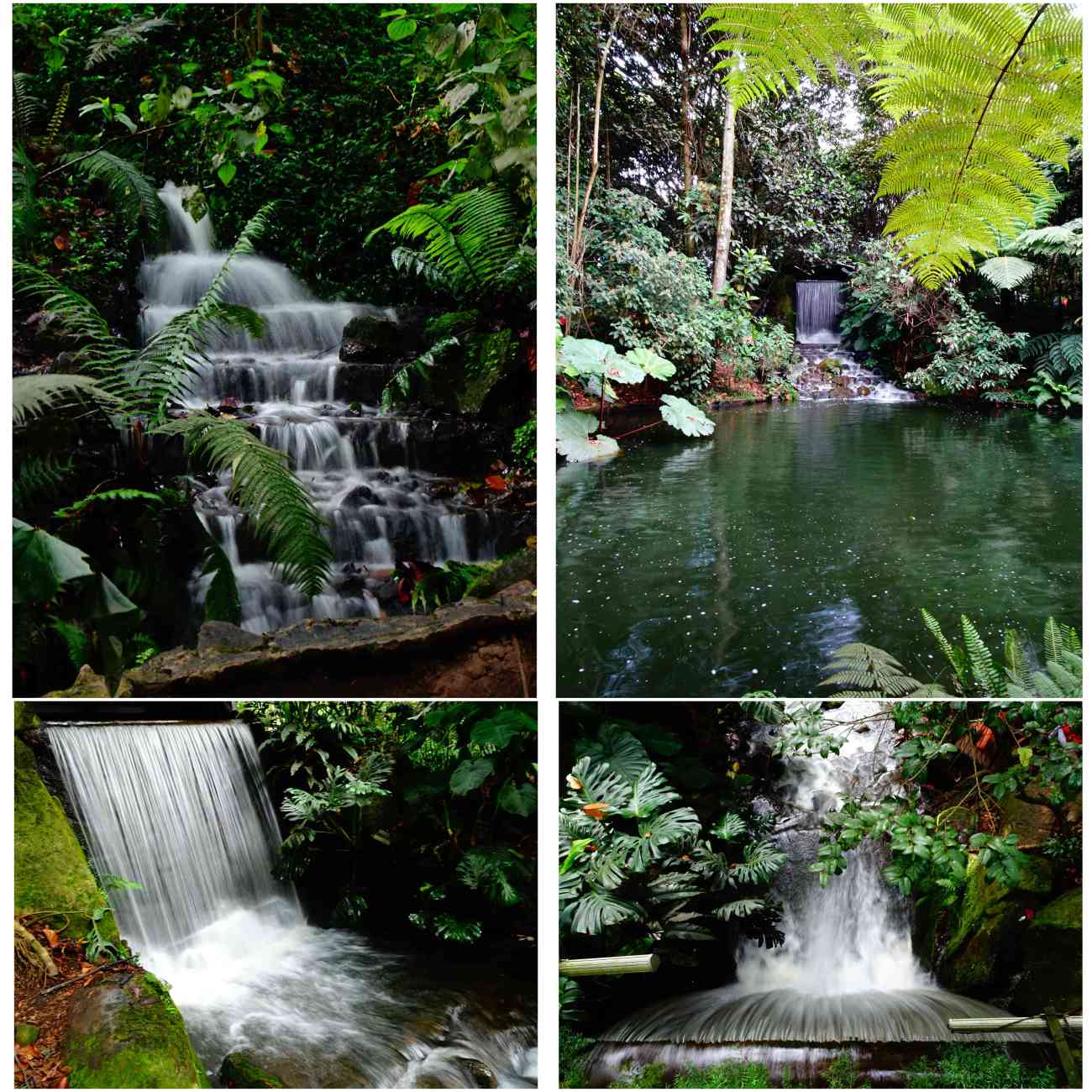 Bogota_jardinbotanico2