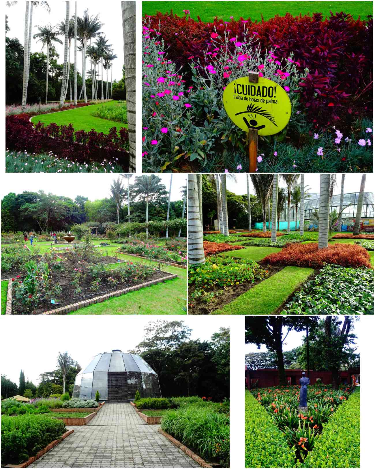 Bogota_jardinbotanico3