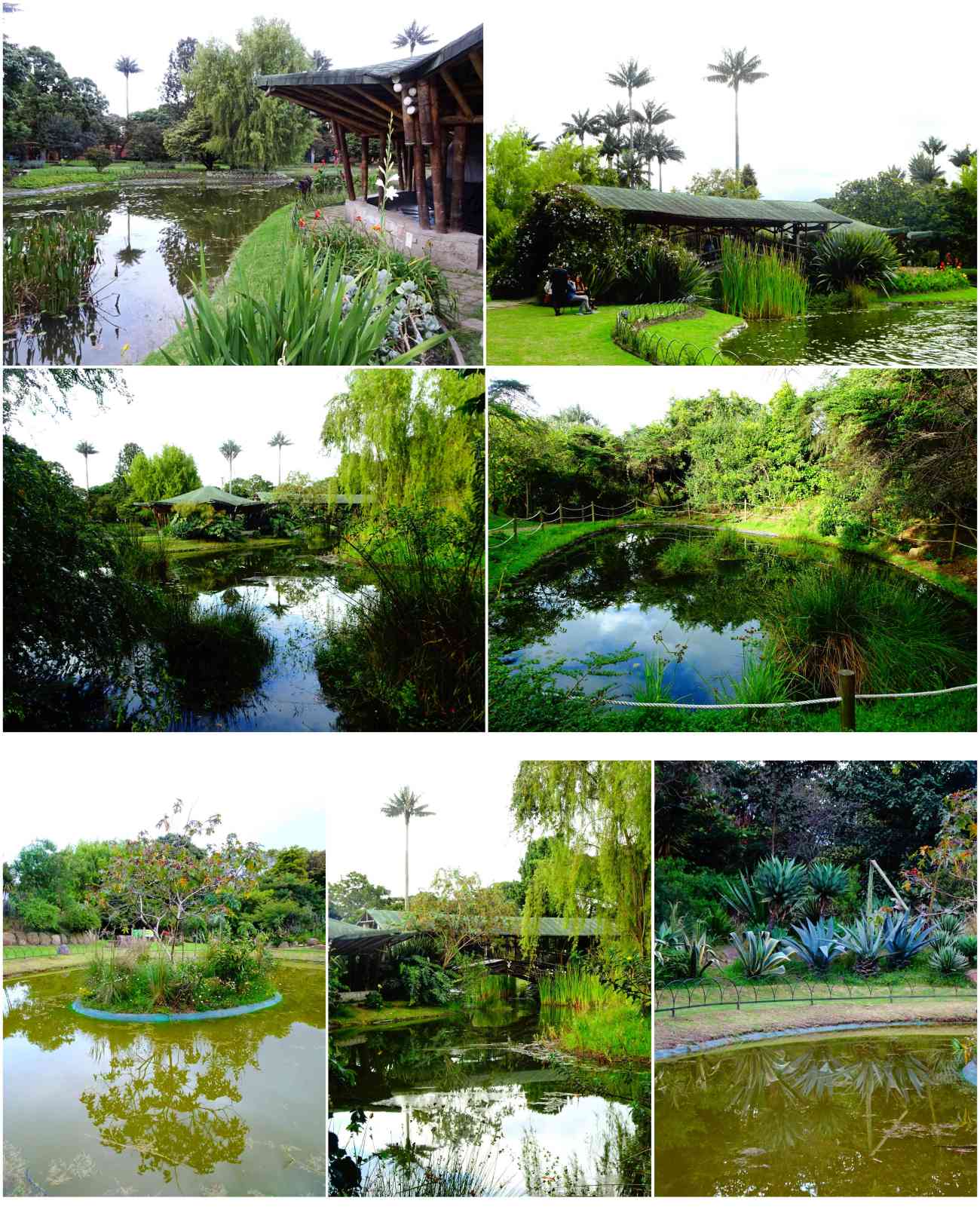 Bogota_jardinbotanico4