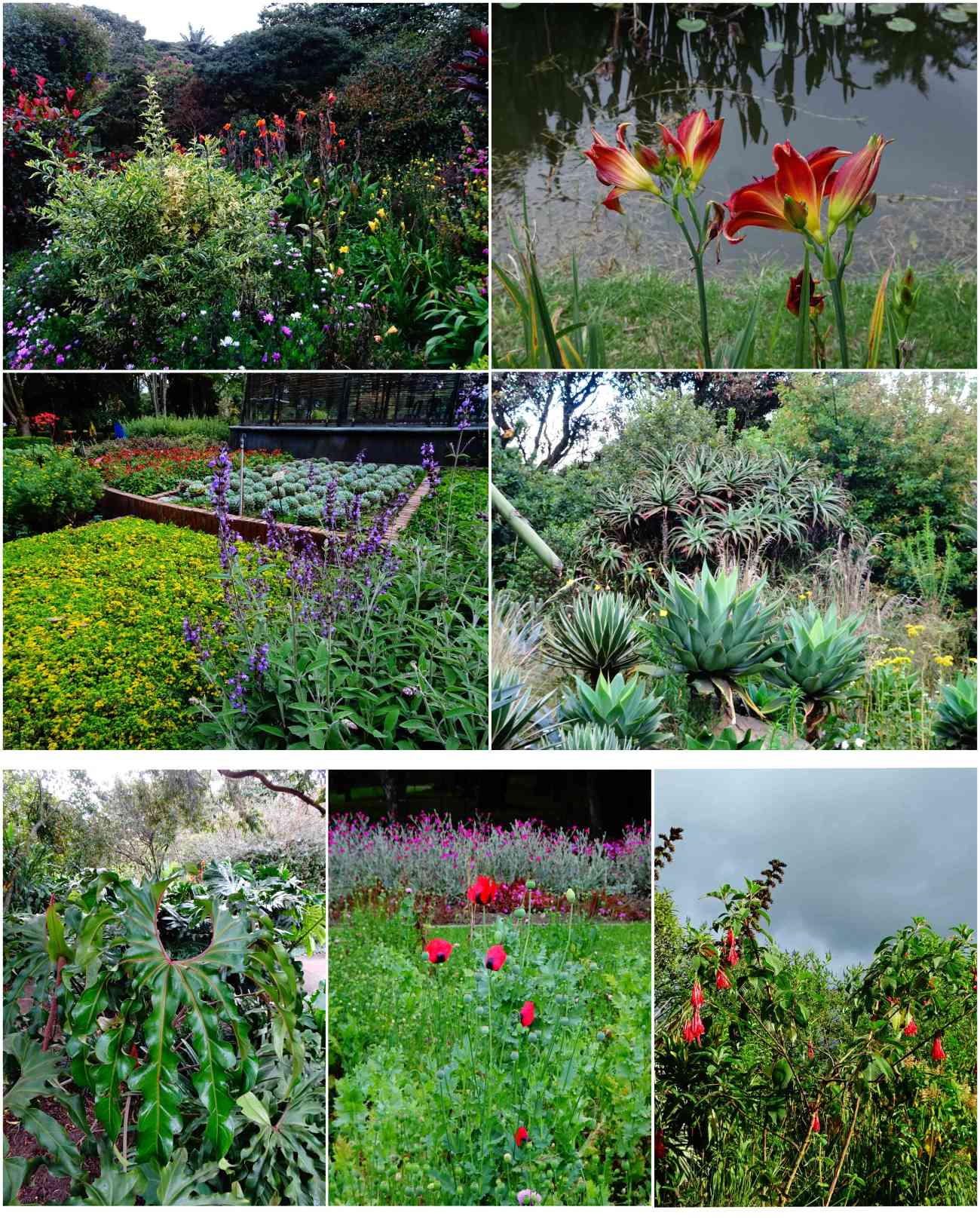 Bogota_jardinbotanico5